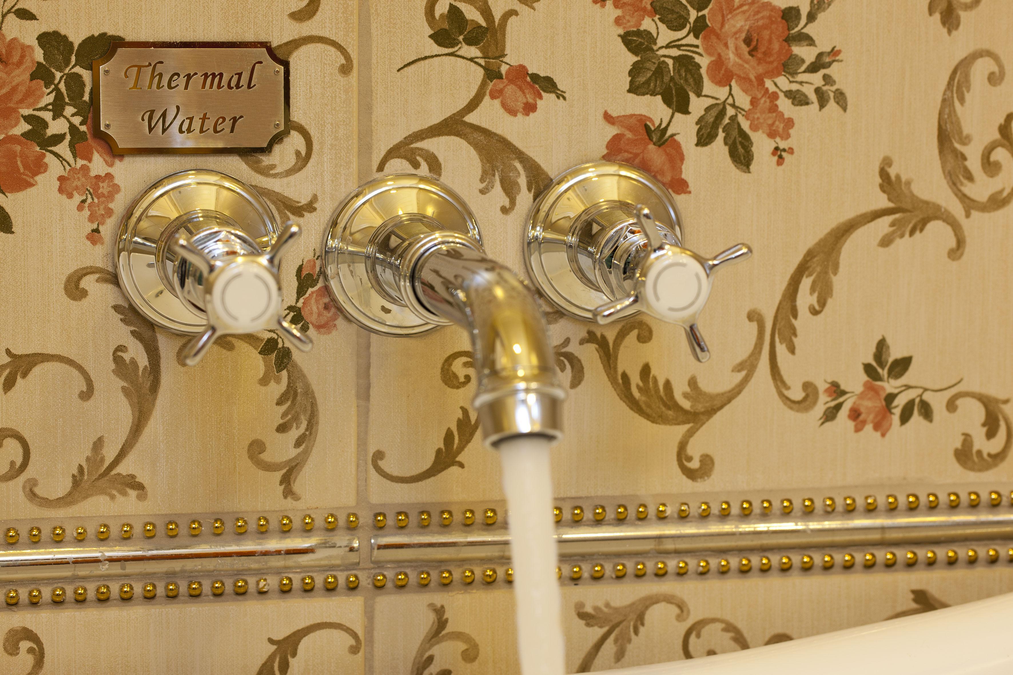 Limak Yalova Thermal Boutique Hotel Gokcedere Exteriör bild